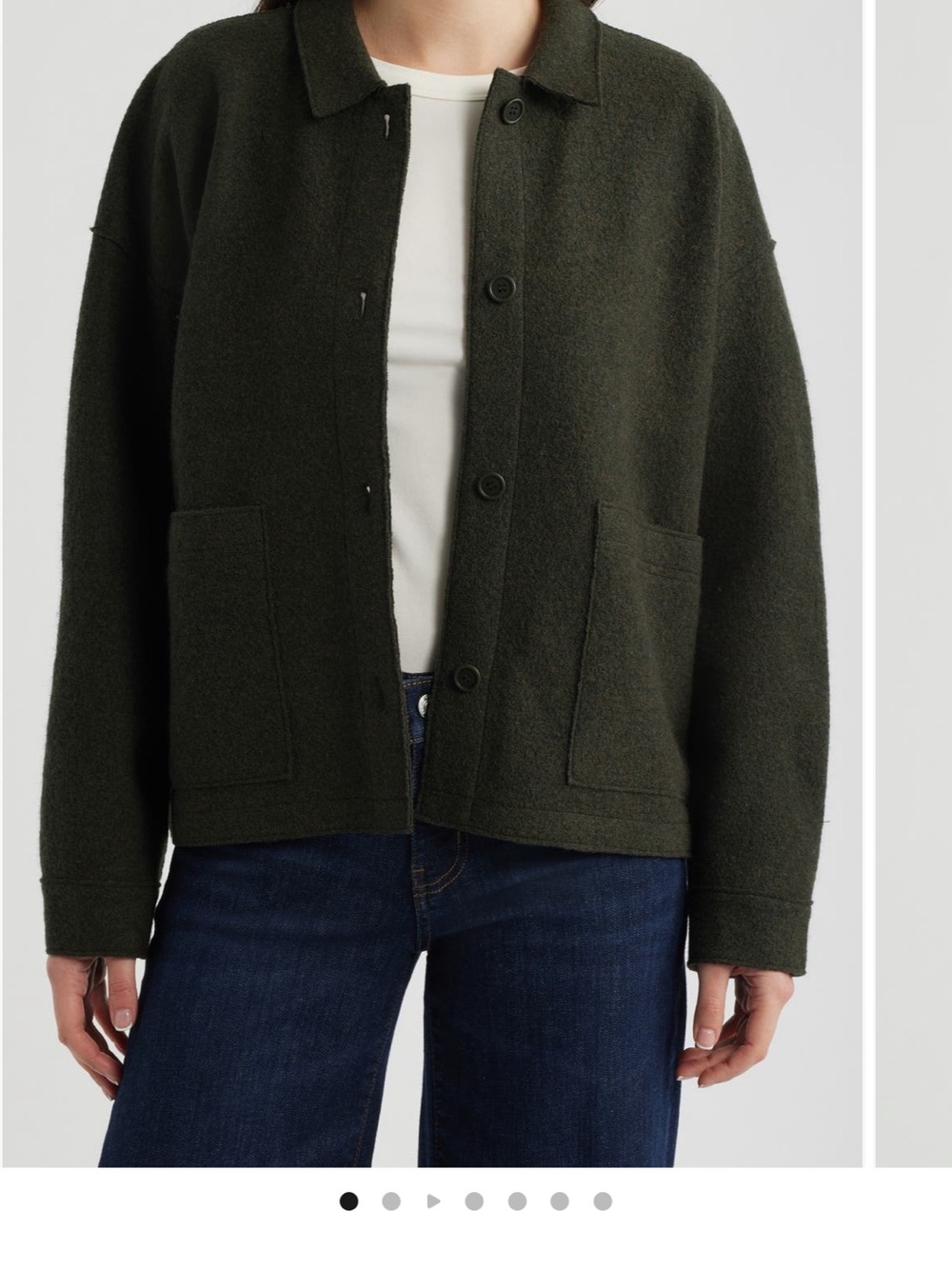 Eileen fisher Classic Collar Wool Jacket